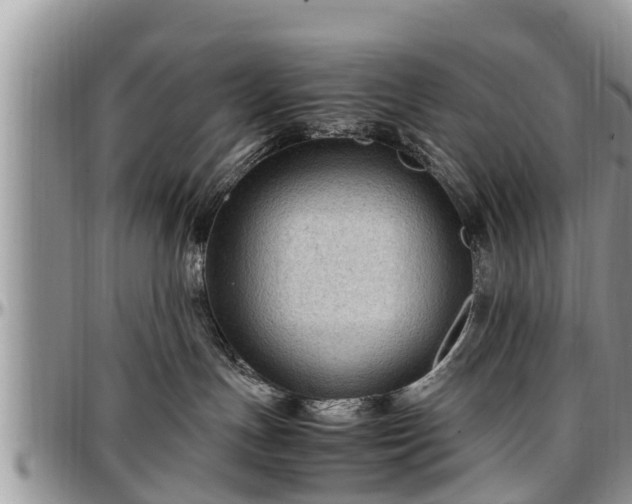 X0000097500191200802291605