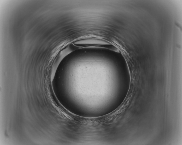 X0000097500193200802291605