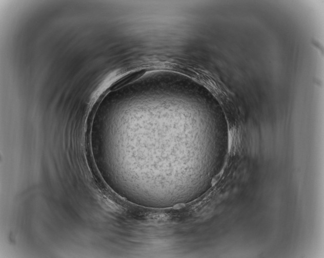X0000097500195200802291605