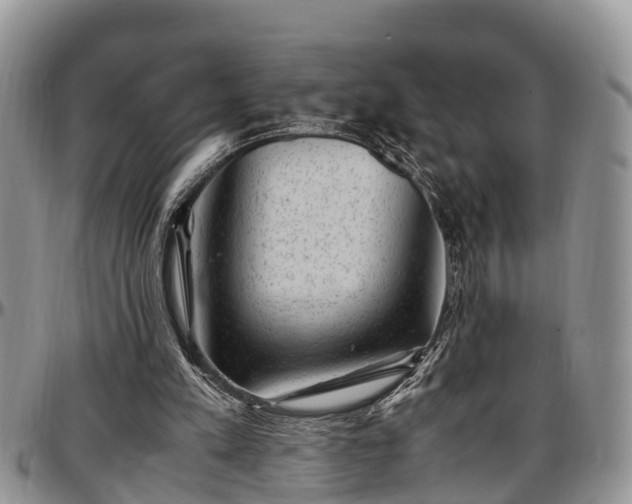 X0000097500197200802291605