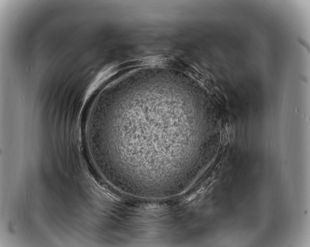 X0000097500198200802291605
