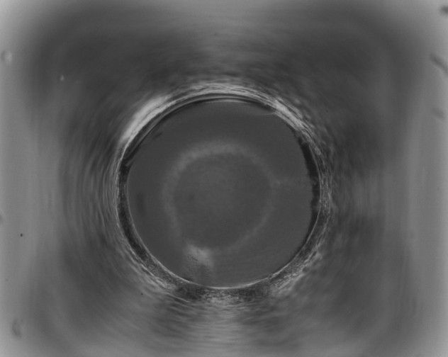 X0000097500199200802291605
