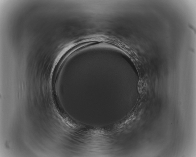 X0000097500200200802291605