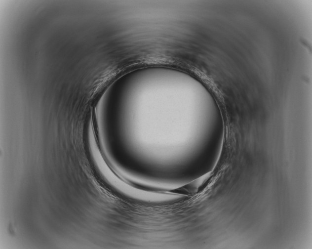X0000097500201200802291605