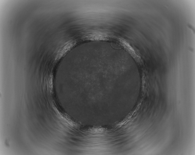 X0000097500202200802291605