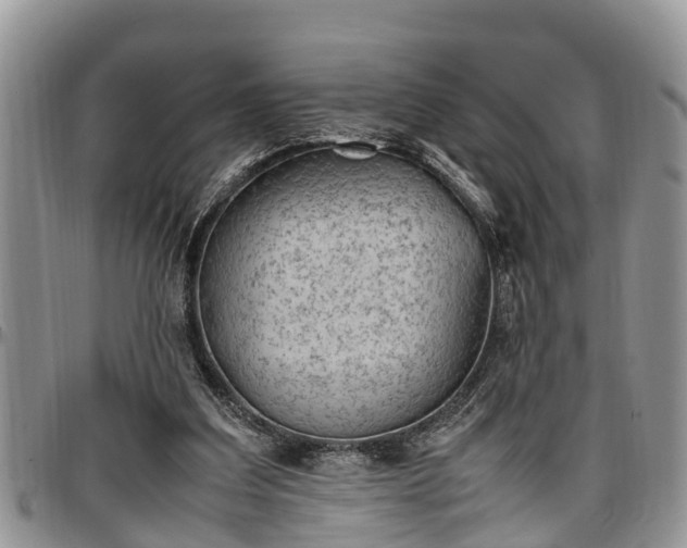 X0000097500203200802291605