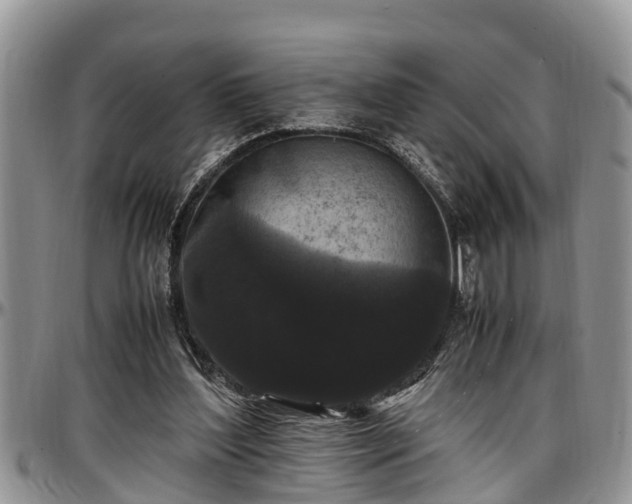 X0000097500204200802291605