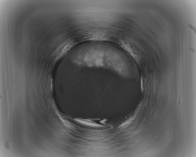 X0000097500205200802291604