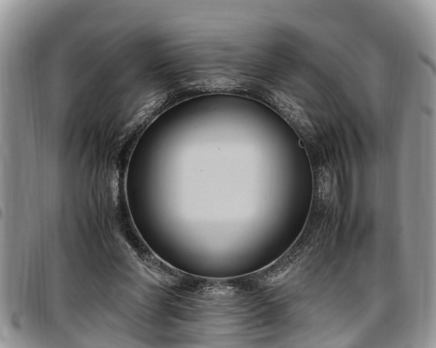 X0000097500206200802291604