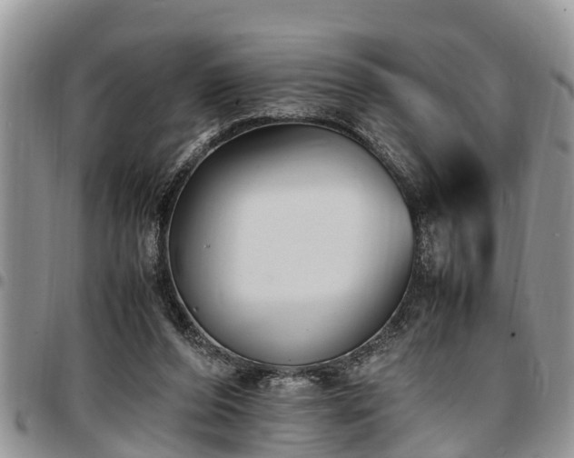 X0000097500208200802291604