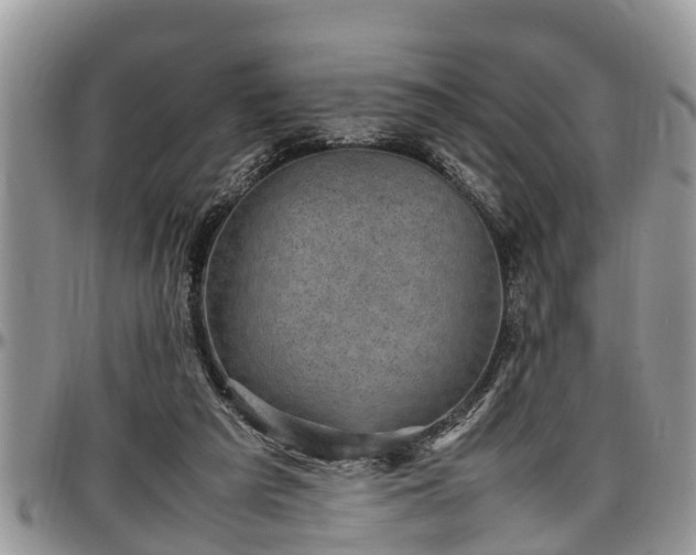 X0000097500209200802291604