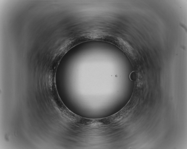 X0000097500210200802291604