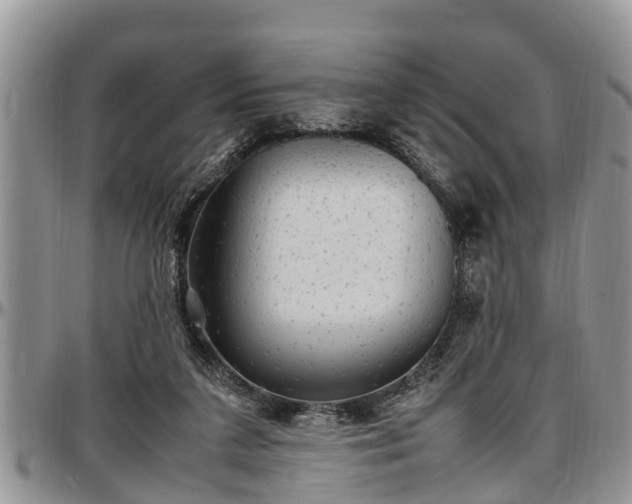 X0000097500211200802291604