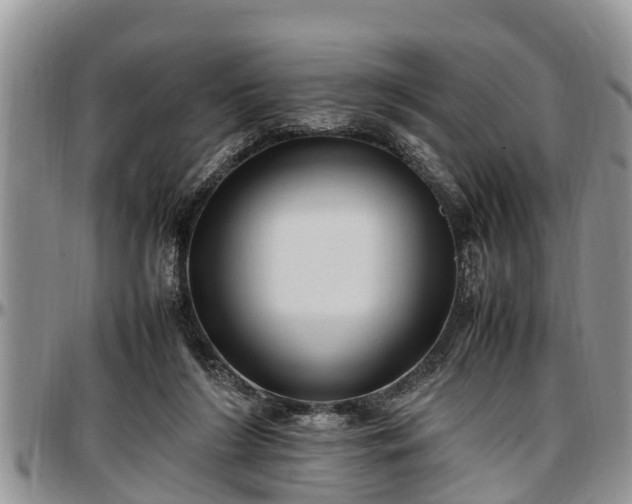 X0000097500212200802291604