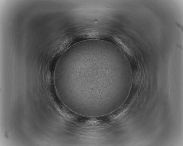 X0000097500213200802291604