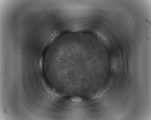 X0000097500214200802291604