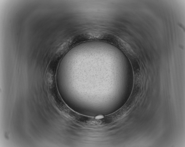 X0000097500215200802291604