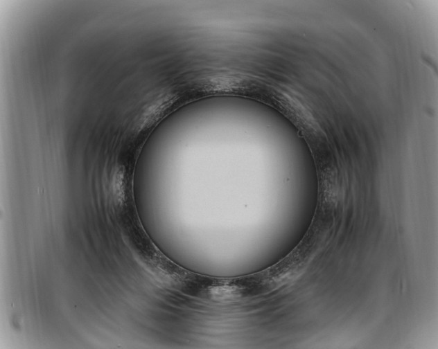 X0000097500216200802291604