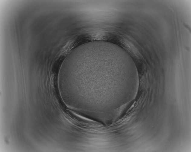 X0000097500217200802291604