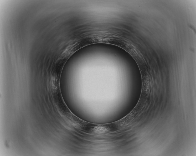 X0000097500218200802291604