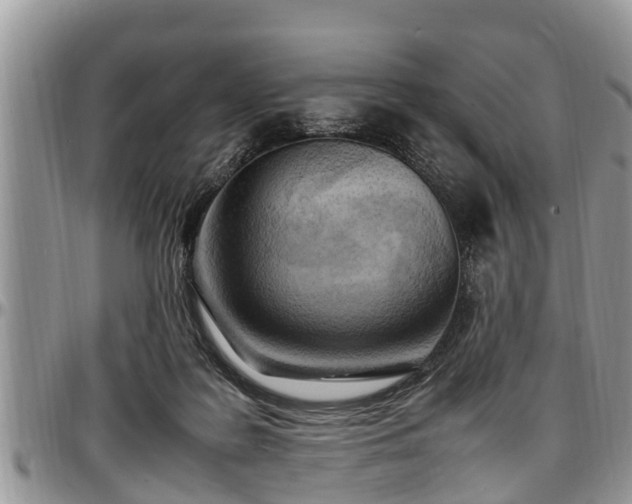 X0000097500219200802291604