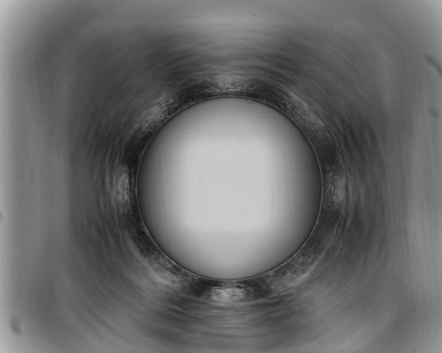 X0000097500220200802291604