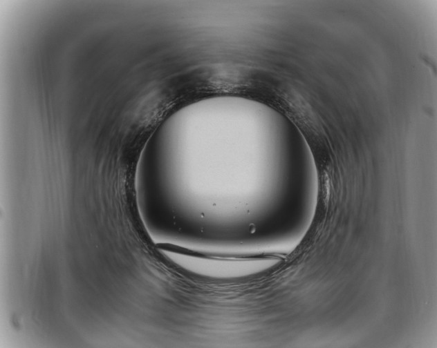 X0000097500221200802291604
