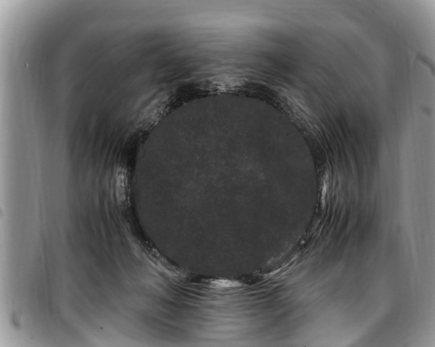 X0000097500222200802291604