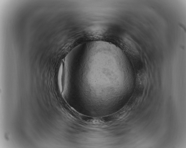 X0000097500223200802291604