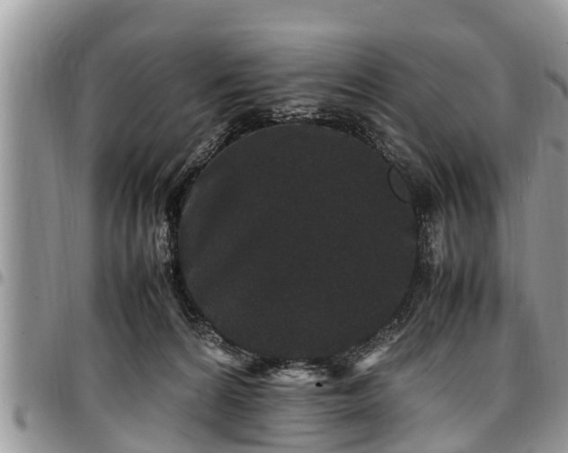 X0000097500224200802291604