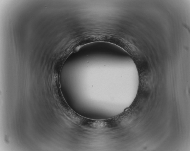 X0000097500225200802291604