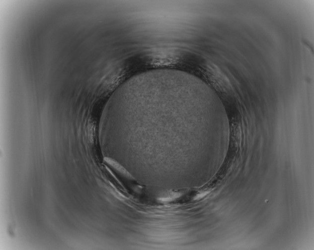 X0000097500227200802291604