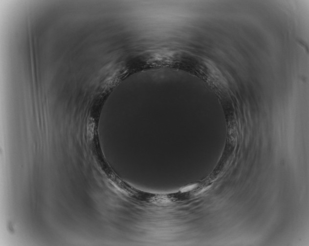 X0000097500231200802291604
