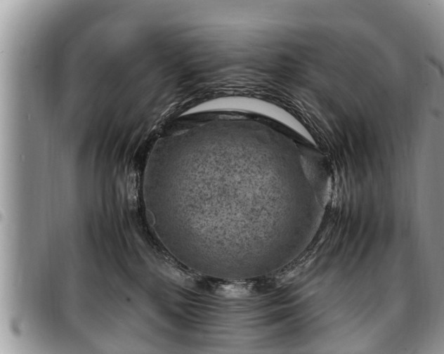 X0000097500232200802291604