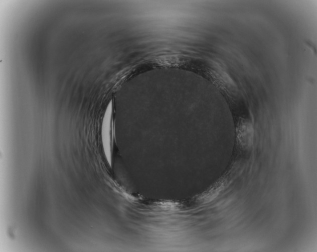 X0000097500233200802291604
