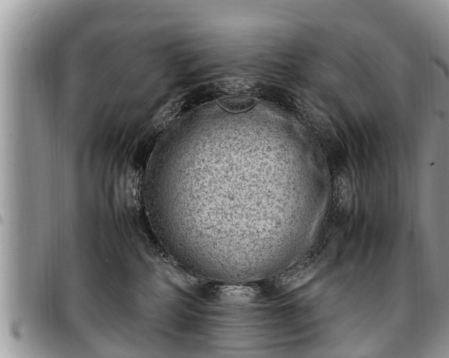 X0000097500234200802291604
