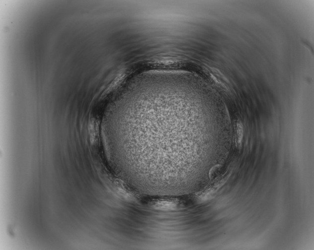 X0000097500236200802291604