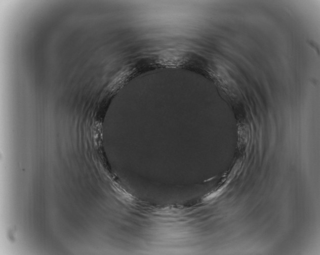 X0000097500237200802291604