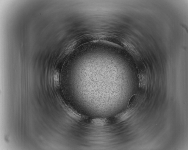 X0000097500238200802291604