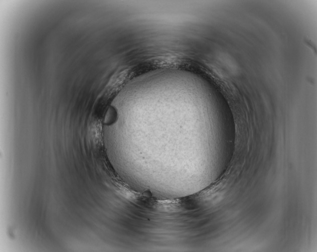 X0000097500240200802291604