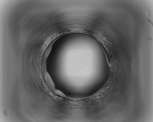 X0000097500241200802291603