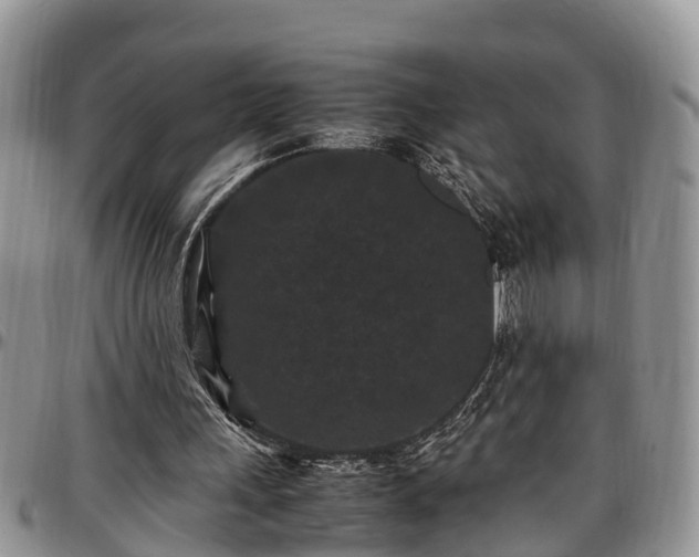 X0000097500243200802291603