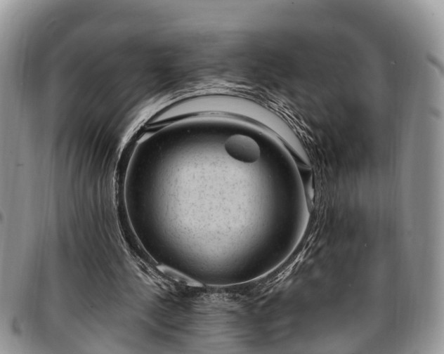 X0000097500244200802291603