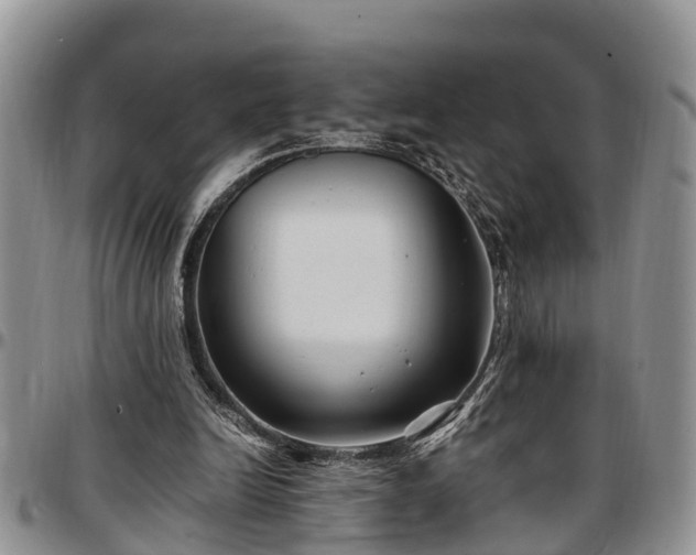 X0000097500246200802291603