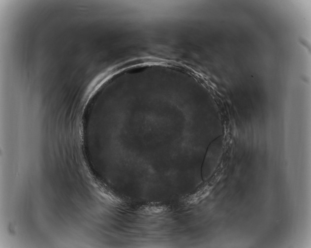 X0000097500247200802291603