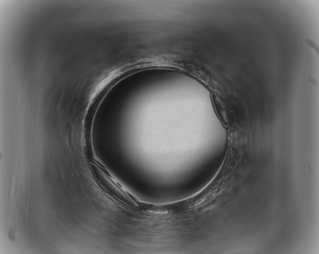 X0000097500248200802291603