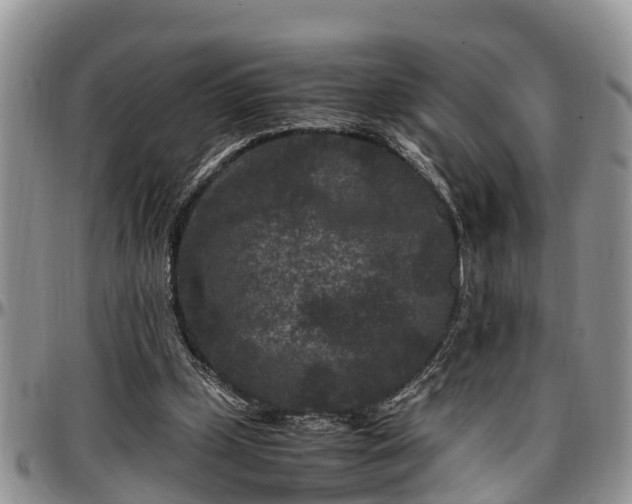 X0000097500249200802291603