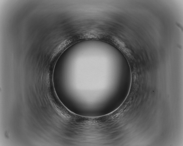 X0000097500250200802291603
