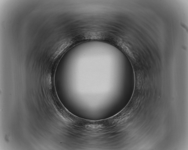 X0000097500251200802291603