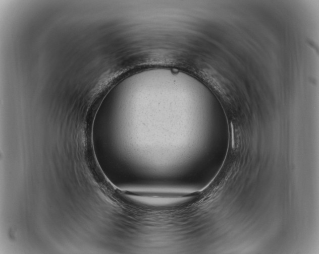 X0000097500252200802291603